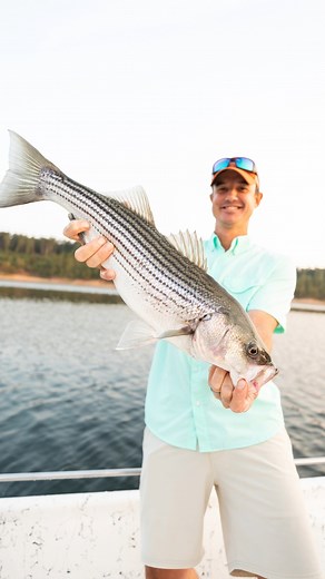 🎣🛥️ Reels about reelin' one (or two, or three) in! Hot Springs is a fishermans oasis, with three area lakes, just waiting to be explored: Lake Hamilton, Lake Catherine, and Lake Ouachita! 🐟 #SoakItUp and cast a line to see what you'll reel in while exploring Hot Springs, Arkansas! Don't miss the Hot Springs Fishing Challenge, May 2 - July 31, where you could win BIG, just by reeling in one of several tagged prize fish (up to $100,000 in prize money)! Learn more at Fish Hot Springs and hotspri