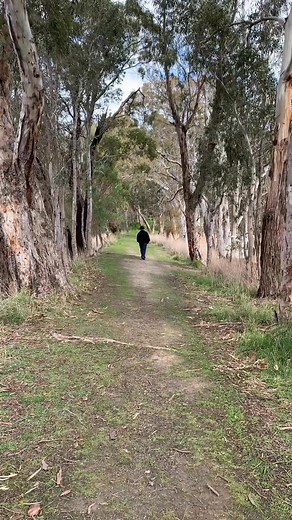 Totness Recreation Park #Totness #mtbarker #adelaidehills #southaustralia | Welcome to Adelaide Hills