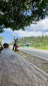 3.1K views · 2.6K reactions | Pengalaman baru cari tebengan dari pagi sampai sore baru dapat tebengan #backpackerjiwaalam #fyp #jelajah #kelilingindonesia #jelajahnusantara #nebengersnusantara #backpack #backpacker #sulteng | Al Ma'ruf | Facebook