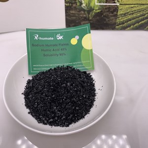 [Hot Item] Humic Acid 80% Insoluble Powder Agriculture
