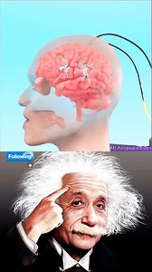 68K views · 1.2K reactions | Sigma teacher -Albert Einstein #reels #trending #instagram #viral #instagramreels #question #education #viralreels #puzzleaddict | Anup Sahani | Facebook