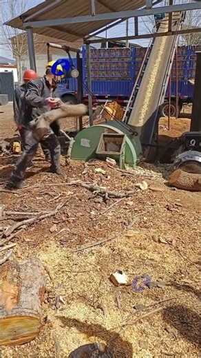 Wood Crusher Shredding Waste Wood into Chips | Wood Recycling Machine with Screen #woodrecycling