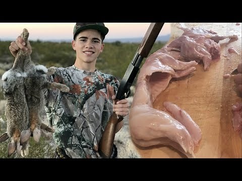 Rabbit Hunting Catch and Cook: Youth Rabbit Hunting Season Is Open!