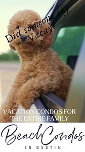 201 reactions · 19 shares | Destin and Miramar Beach vacation condos for the entire family | Beach Condos In Destin | Facebook