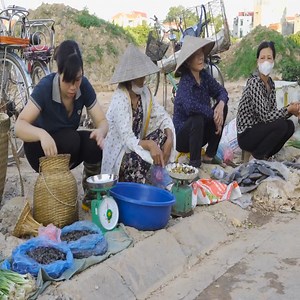 29K views · 871 reactions | Catching Stone Crabs, Grill , Bathe in Streams and Go Market To Sell Crabs | Kristen Cuevas | Facebook