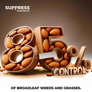 Specialty crop or tree nut grower? Get field data to root your weed control solution in research. | AgWeb.com