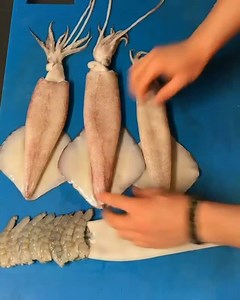 36K views · 284 shares | Squid stuffed with shrimp! @mehmet_cheff . . . #food #cooking #squid #shrimp #fresh #seafood #ocean #reef #grilling #grill #homemade #fish #freshfish #apnea #freedive #freedivelife #spearo #spearfishing #speargun #island #islandlife | Neptonics Spearfishing | Facebook