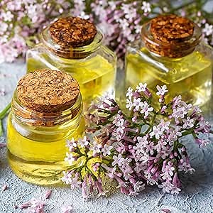 Eden Brothers Valerian Seeds