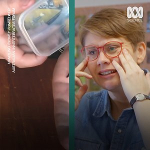 2M views · 6.7K reactions | Why you should NEVER touch Australian spiders  | ABC Science | Facebook