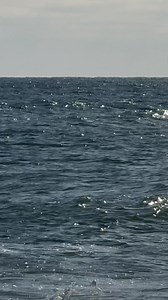 31K views · 527 reactions | Coast Guard Beach - Eastham, Massachusetts Cape Cod | Cape Cod, Massachusetts | Facebook