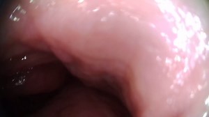 Real Camera Inside The Pussy