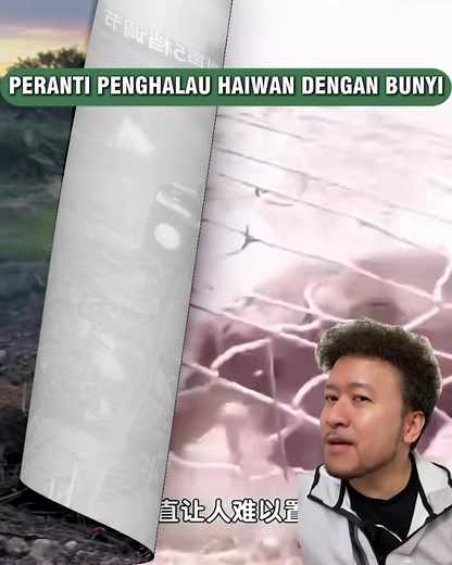 Penat berjaga malam kerana bimbang haiwan liar merosakkan tanaman berharga anda? Atau bosan berbelanja besar mengupah orang untuk menangkapnya? Kini anda boleh menarik nafas lega! Kami perkenalkan Peranti Penghalau Haiwan Liar dengan Bunyi Tembakan dan Lampu Kilat yang terbukti sangat berkesan! Seperti yang dilihat dalam video, peranti ini berfungsi hebat: Bunyi Tembakan (Bunyi Tembakan): Ia mengeluarkan bunyi haiwan yang menakutkan dan juga bunyi tembakan untuk menghalau haiwan seperti monyet,