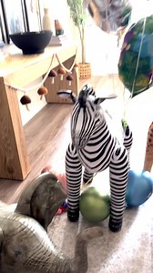 Watch Animal Inflatables, perfect for the pool or just for decor. on Amazon Live