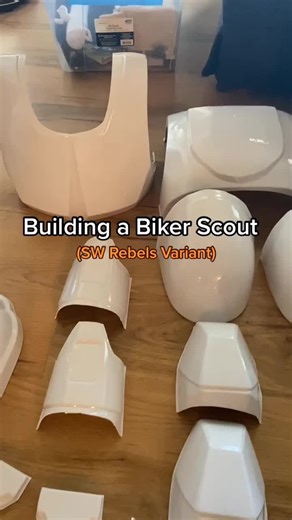 sunflowerstardust on TikTok