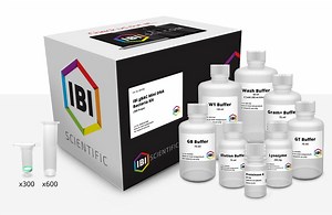 gBAC Mini Genomic DNA Kit