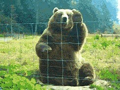 Wir wünschen allen einen wunderbaren #sonnigen Donnerstag! Schwesterherz Ruhr Tourismus: Was können wir denn heute schönes in der #Metropole #Ruhr machen? | Business Metropole Ruhr GmbH