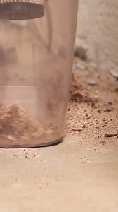 Properly Deep Clean Your Fridge! | Street Belle Fashion