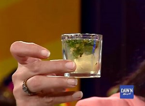 Keep it healthy with these fresh-from-the-freezer fruit popsicles made with five ingredients or less! #ChaiToastAurHost #Season4 #DawnNews #BreakfastShow #ImanZaidi #AkbarChaudry #EntertainmentNews #WhatsToasting #TopStories #HealthAndFitness #HouseholdHacks #TarotCardReading #StarFunkaar #BreadAndButter #FarqPartaHai #CTHLifeline | Chai, Toast aur Host