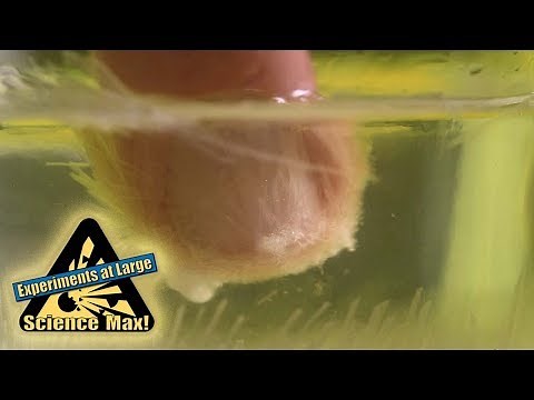 Science Max | CRYSTALS | Sodium Acetate