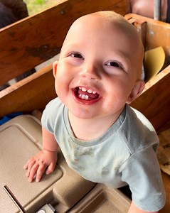 217K views · 10K reactions | Breck drives his team of mules downtown! ️ | Plant Based Gabriel | Facebook