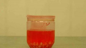 La semilla roja: así funciona Monsanto en México