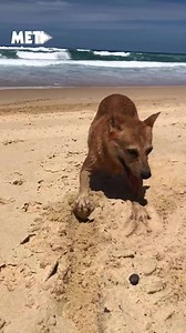 175K views · 453 reactions | Struggling there, mate?  | Metro | Facebook