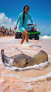 1.3M views · 2K reactions | Marine Biologist Saves Beached Stingray! #Rescue #animals #wildlife | Daily Vu | Facebook