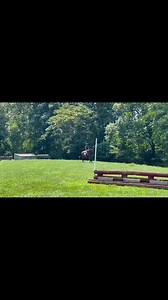 🌟Classy Thoroughbred🌟 Mr Nibs is a 16.1 2020 thoroughbred gelding by Noble Mission. He’s been in our barn since he was a two year old, slowly and correctly started for a career as a sport horse. Elegant type, ready to go on with an amateur or professional. Located in Lovettsville VA. For more information call/text 410-456-6635, PM or email clasingequestrian@gmail.com#eventhorseforsale #ottbsofinstagram #sporthorsesforsale | Clasing Equestrian