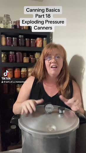 11K views · 239 reactions | Canning Basics Part 18: Will my pressure canner explode? | Sort of a Homestead | Facebook