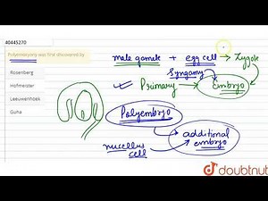 Polyembryony was first discovered by