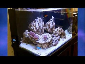 PetSolutions: Current USA Orbit Marine LED Aquarium Light Fixture