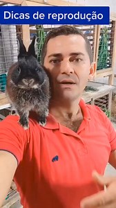 2.6K views · 20 reactions | Who can resist those floppy ears and twitching nose?  #rabbit #bunny #rabbitsofinstagram #bunniesofinstagram #bunnylove #bunnies #rabbits #cute #bunnygram #rabbitstagram #pets #bunniesofig #petsofinstagram #bunnystagram #houserabbit #art #bunnyrabbit #love #bunniesworldwide #animals #pet #rabbitsofig #instabunny #nature #rabbitsworldwide #bunnylife #bunnyoftheday #adoptdontshop #minilop #rabbitlove | Rabbit Lover | Facebook