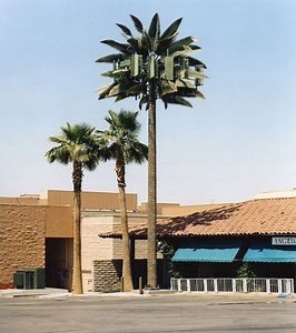 [Hot Item] Bionic Tree Tower Palm Tree