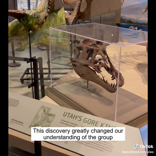 DrCreekPositiveDiscoveries on TikTok