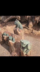 40 reactions · 4 comments | Spring has arrived early this year. Turtles and frogs are looking for the perfect place to call home in your garden. Turtles $95-$125 Frogs $75 | The WOOD DEN | Facebook