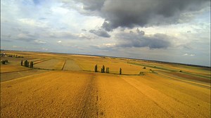 Makovecz Imre és Cserhalmi György is az e heti Mecenatúra-filmpalettán