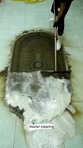 Transforming a Premium Designer Carpet Back to Luxury Clean #soclean #asmr #satisfying #oddlysatisfying #restoration #deepcleaning #fblifestyle | MasterCleaning