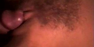 Blonde and Jamaican Bull