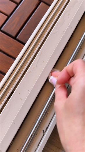 2.6K views · 13 reactions | Made this DIY fly spray in minutes 練✨ …and they’re GONE!  #FlyFree #DIYSpray #LifeHack #NoMoreFlies #HomeTips | Anastasiia Veriasova | Facebook