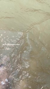 #rivermonsteradventures | River Monster Adventures