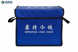 [Hot Item] The Collapsible Insulated Collapsible Cooler Bag Is Simple and Practical