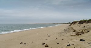 Quiet Herring Cove Beach On Cape 库存影片视频（100% 免版税）12929219 | Shutterstock