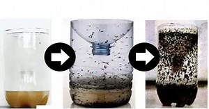 How To Make A Homemade Hornet And Fly Trap In 2023