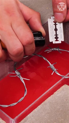 Trapping Razor In A Cobblestone?! | Crafty Panda