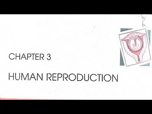 Class 12th Reproduction in Human ; Oogenesis : Structure of Mature Graffian Follicle (Whole).