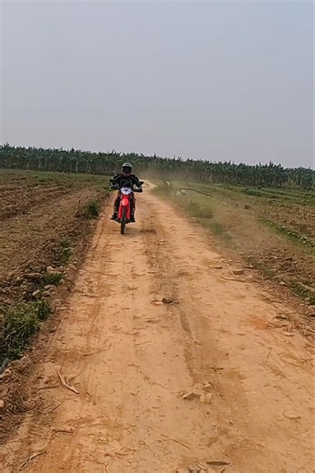 Calling all bikers, Vietnam offroad awaits you and your bros... 📍North Vietnam ——————— 𝐕𝐈𝐄𝐓𝐍𝐀𝐌𝐁𝐈𝐊𝐄𝐑𝐒 𝐓𝐎𝐔𝐑𝐒 🔗 https://vietnammotorcycletours.com 📞 Speak to Alan and the crew 84985333066 #vietnambikers #vietnammotorbiketours #adventure #adventure #CRF300L #dirtbikes #enduro | 𝐕𝐢𝐞𝐭𝐧𝐚𝐦 𝐌𝐨𝐭𝐨𝐫𝐜𝐲𝐜𝐥𝐞 𝐓𝐨𝐮𝐫𝐬