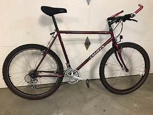 My 1990 Univega Alpina Team