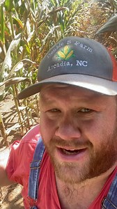 Annual @NK Seeds corn yield estimate! #nkpartner #nkseeds #harvestnk24 #northcar | Birthdaymonth10