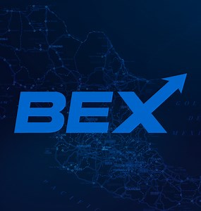 BEX | Border Express de México | Transportation Shipping Services