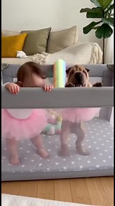 21 reactions | Adorable Dancing Couple! Baby and dog in tutu share a fun dance. #fblifestyle #AI Created with Kling AI | Animals Are The Best | Facebook